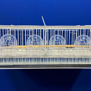 312 - TRANSPORTE 6 COMEDOUROS