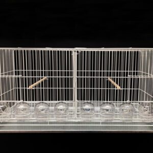 231 - CRIADEIRA 8 COMEDORES - URS (CANÁRIO DE PORTE)