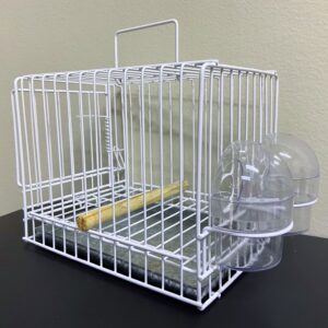 229 - MINI TRANSPORTE (INDIVIDUAL)