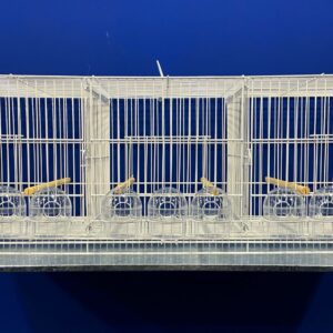 213 - CRIADEIRA P/ CANÁRIO BIGAMIA