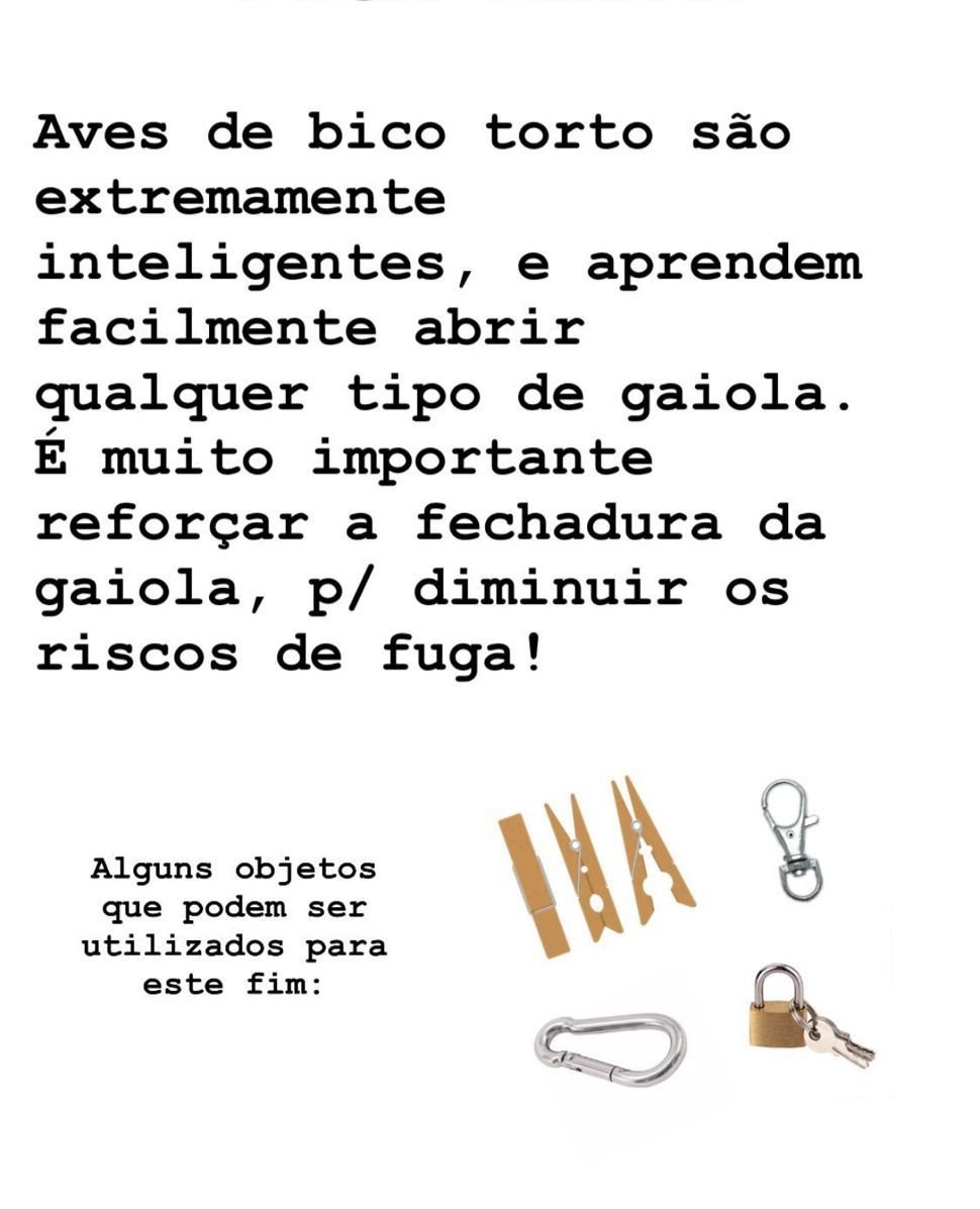 266 - VIVEIRO MALHA LARGA P/ RING NECK (1,52M) - Imagem 5