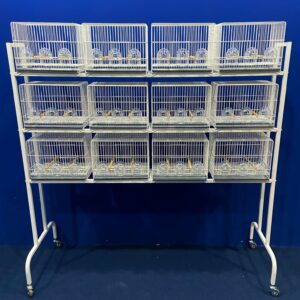 255 - CONJUNTO 12 GAIOLAS EXPOSIÇÃO (3 COMEDORES) + ESTANTE COM RODAS