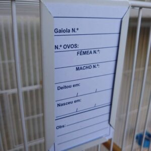 A301 - FICHEIRO C/ 1 PAPEL